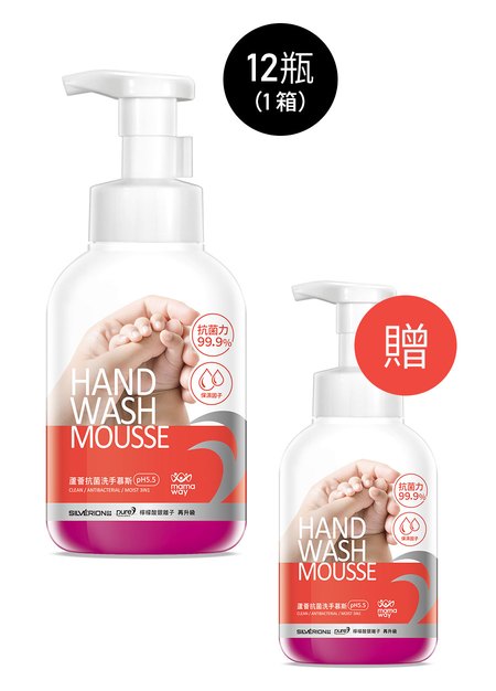 蘆薈抗菌洗手慕斯(12瓶/箱+贈1瓶)-1